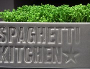 Spaghetti Kitchen